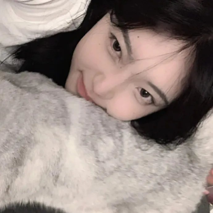 孤鸟罗宾